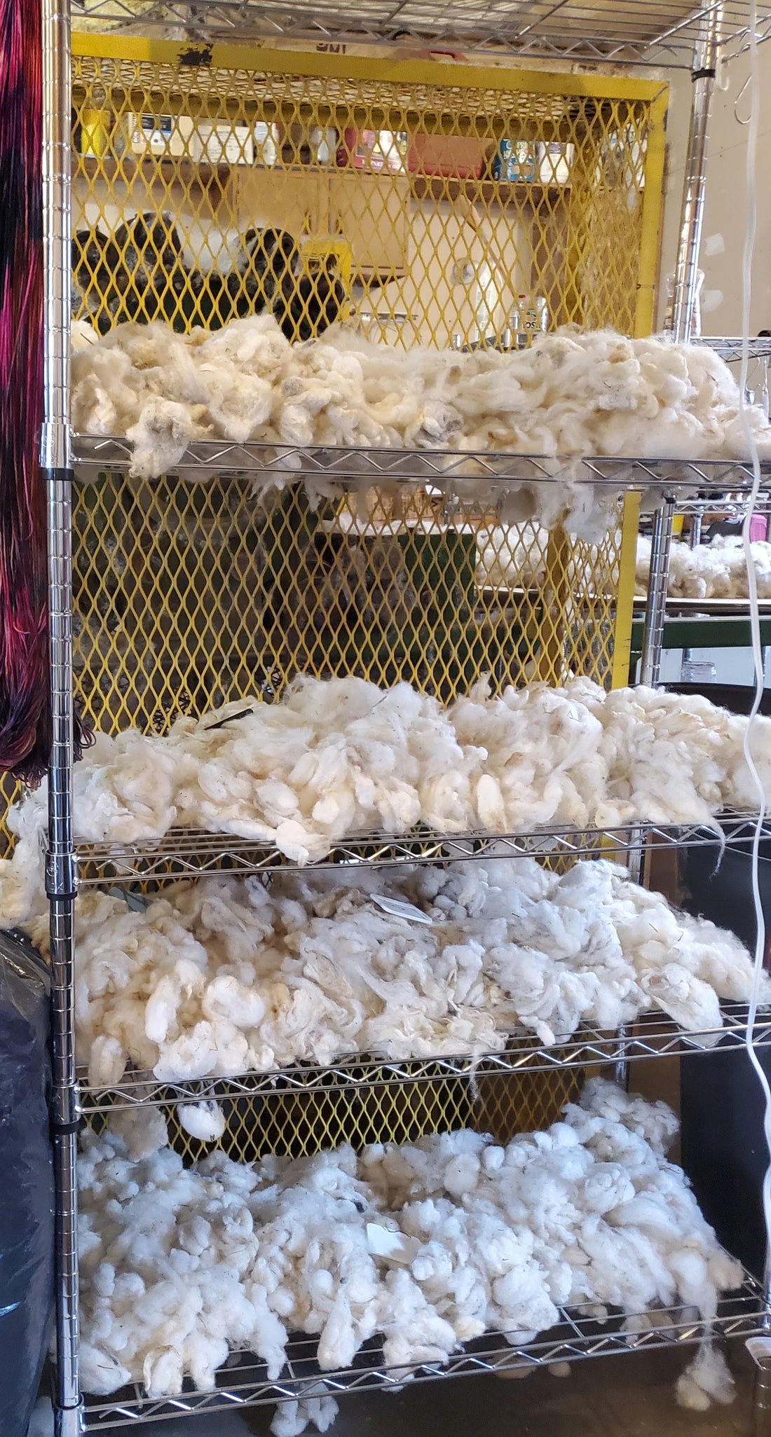 Learn how we skirt wool here in the mill