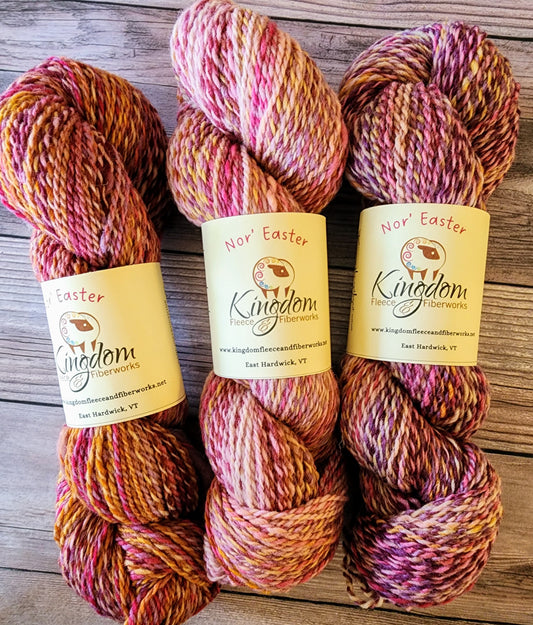 DK Nor' Easter- Tulip