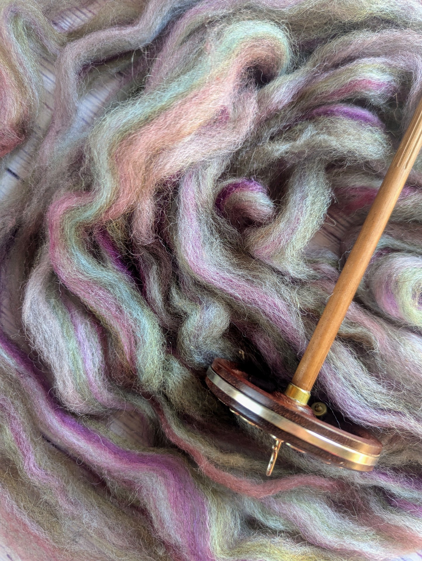 Fiber Fusion- Lindy